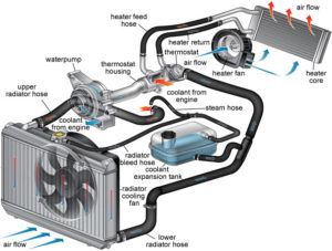 How antifreeze works - Twelfth Round Auto